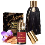 Vonná esence Winter dream 100 ml