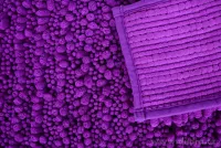 3D CORAL WC předložka tmavě fialová