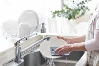 2 ks houbička na nádobí TRIOHOUBA