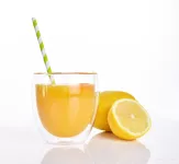250 ml dvoustěnná TERMO sklenice BOROSIL DOUBLE-GLASS