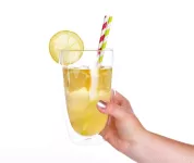440 ml dvoustěnná TERMO sklenice BOROSIL DOUBLE-GLASS