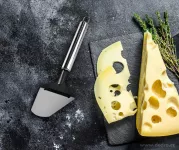 22 cm kráječ/lopatka na sýr GOURMET