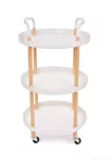 Multifunkční stabilní pojízdný vozík MULTI-TROLLEY 3 patrový