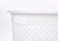 59 cm koš na prádlo s odnímatelným víkem WASH STATION