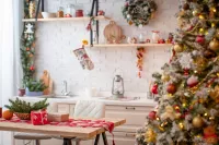 2 ks EKO intenzivní čistič na kuchyně a mastnotu XONOX ECO COOK náhradní náplně, bez rozprašovače