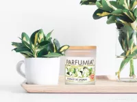 Sójová vonná EKO svíce PARFUMIA® ESSENCE DE JASMIN