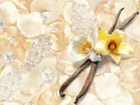 Sójová vonná EKO svíce PARFUMIA®, FLEUR DE VANILLE