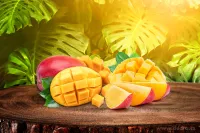Sójová vonná EKO svíce PARFUMIA®, MANGO