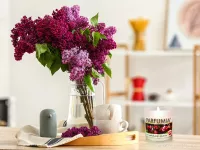 Sójová vonná EKO svíce PARFUMIA® pečený čaj, LADY MARMELADE’S FRUIT TEA