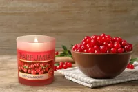 Sójová vonná EKO svíce PARFUMIA® šťavnatá brusinka, WILD CRANBERRY