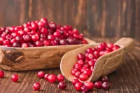 Sójová vonná EKO svíce PARFUMIA® šťavnatá brusinka, WILD CRANBERRY
