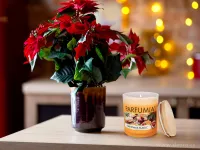 Sójová vonná EKO svíce PARFUMIA® vánoční CHRISTMAS MAGIC