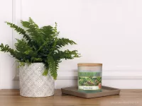 Sójová vonná EKO svíce PARFUMIA® vůně vánočního stromu, FRESH PINE