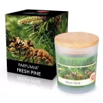 Sójová vonná EKO svíce PARFUMIA® vůně vánočního stromu, FRESH PINE