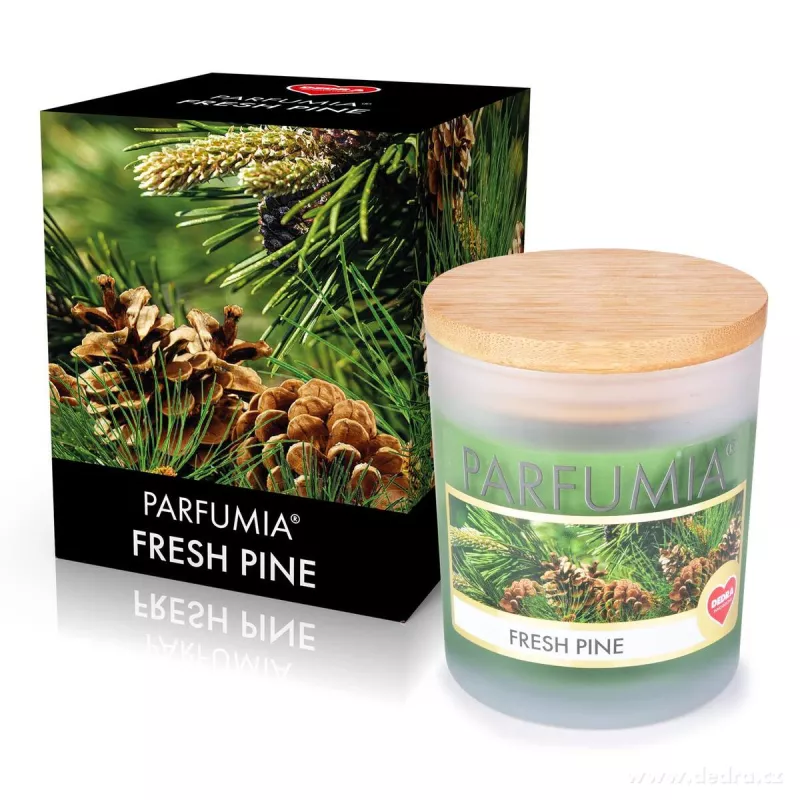 Sójová vonná EKO svíce PARFUMIA® vůně vánočního stromu, FRESH PINE