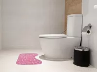 WC předložka