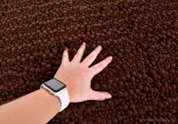 Koupelnová předložka 3D CORAL SASANKA