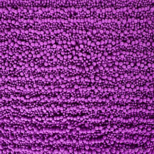 Koupelnová předložka 3D CORAL SASANKA