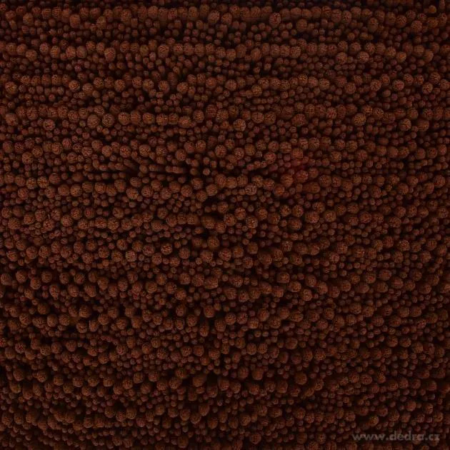 Koupelnová předložka 3D CORAL SASANKA