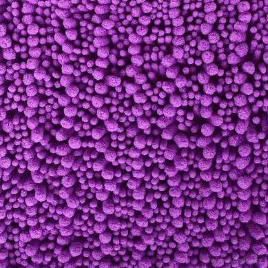 WC předložka 3D CORAL SASANKA