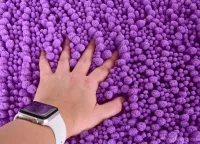 WC předložka 3D CORAL SASANKA