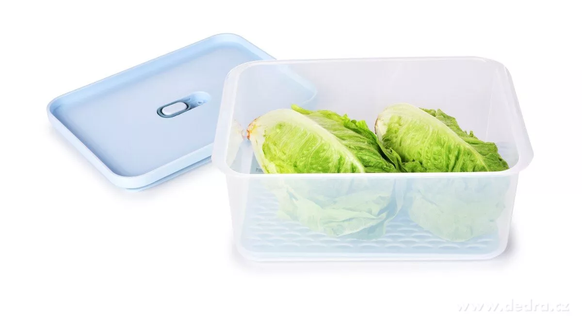 2000 ml dóza na potraviny FRESH-ON BOX s prodyšnou mřížkou a silikonovým těsněním