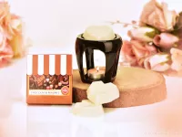 Vonný sójový EKO vosk PARFUMIA® čokoláda a pralinky, CHOCOLAT & PRALINES