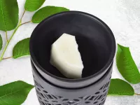 Vonný sójový EKO vosk do aromalampy PARFUMIA® MY HOME