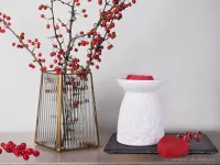 Vonný sójový EKO vosk do aromalampy PARFUMIA® šťavnatá brusinka, WILD CRANBERRY