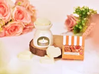Vonný sójový EKO vosk PARFUMIA® sušenky a slaný karamel, COOKIES & SALTED CARAMEL