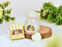 40 ml sójový vonný eko-vosk do aromalampy, vaječný likér, LIQUEUR DE CRÈME, PARFUMIA®
