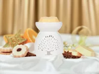Vonný sójový EKO vosk do aromalampy PARFUMIA® VANILLA & ORANGE