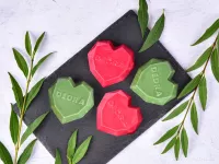 Vonný sójový EKO vosk do aromalampy PARFUMIA® vůně vánočního stromu, FRESH PINE