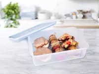 4200 ml dóza na potraviny FRESH-ON BOX s prodyšnou mřížkou a silikonovým těsněním