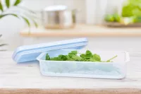 500 ml dóza na potraviny FRESH-ON BOX s prodyšnou mřížkou a silikonovým těsněním
