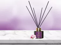 100 ml interiérový tyčinkový bytový parfém, PULPIDOO, DIFFUSEUR INTÉRIEUR