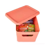 27,5 cm úložný box s víkem