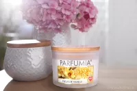 INTENSE 2 KNOTY sójová vonná EKO svíce PARFUMIA® FLEUR DE VANILLE
