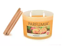 INTENSE 2 KNOTY sójová vonná EKO svíce PARFUMIA®, MANGO