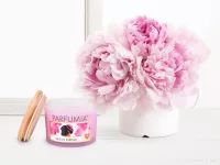 INTENSE 2 KNOTY sójová vonná EKO svíce PARFUMIA® SAISON PARFUM