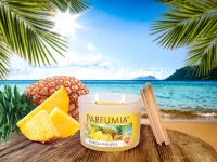 INTENSE 2 KNOTY sójová vonná EKO svíce PARFUMIA®, ananas TROPICAL PINEAPPLE