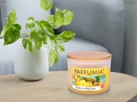 INTENSE 2 KNOTY sójová vonná EKO svíce PARFUMIA®, ananas TROPICAL PINEAPPLE