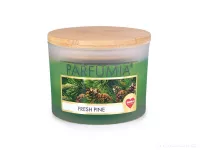 INTENSE 2 KNOTY sójová vonná EKO svíce PARFUMIA® vůně vánočního stromu, FRESH PINE
