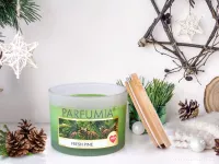 INTENSE 2 KNOTY sójová vonná EKO svíce PARFUMIA® vůně vánočního stromu, FRESH PINE