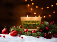 INTENSE 2 KNOTY sójová vonná EKO svíce PARFUMIA® vůně vánočního stromu, FRESH PINE