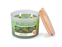 INTENSE 2 KNOTY sójová vonná EKO svíce PARFUMIA® vůně vánočního stromu, FRESH PINE