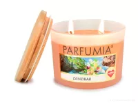 INTENSE 2 KNOTY sójová vonná EKO svíce PARFUMIA® ZANZIBAR