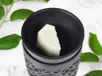 Vonný sójový EKO vosk do aromalampy PARFUMIA® MIDNIGHT CHERRY