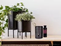 XXL Keramická aromalampa s dekorem stromu