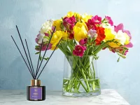100 ml interiérový tyčinkový bytový parfém, FRESSIA, DIFFUSEUR INTÉRIEUR